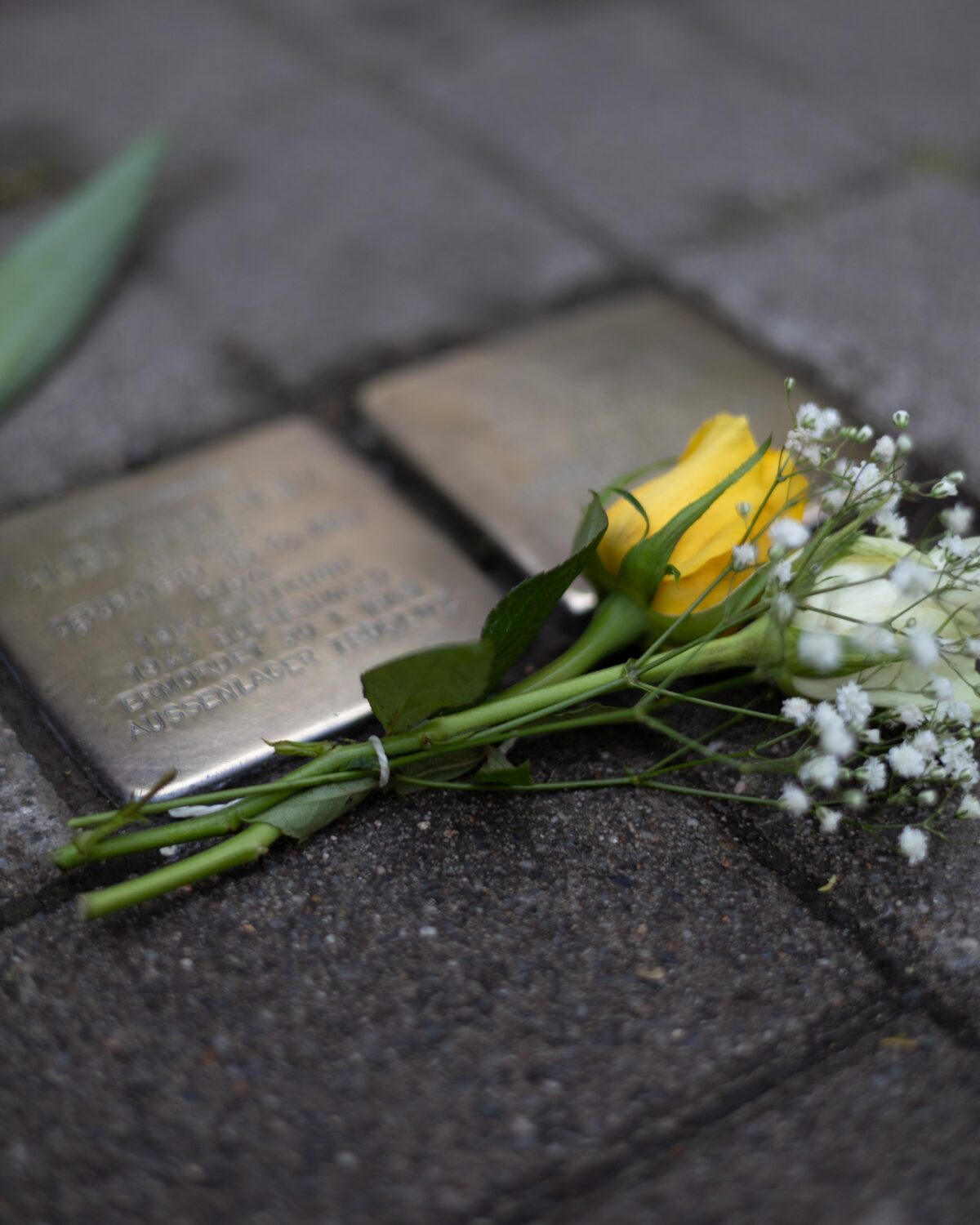Stolpersteine in der Südstadt