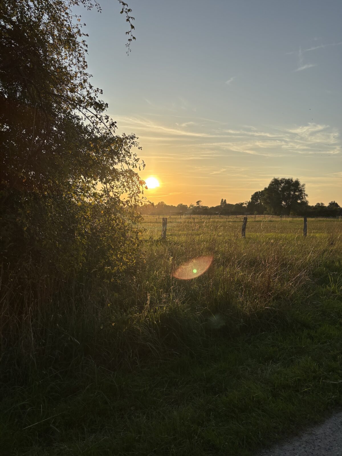 Laher Kamp