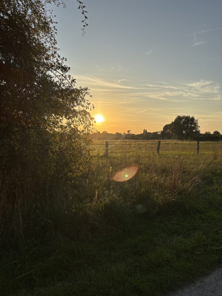 Laher Kamp
